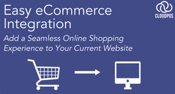 Seamless Online Shopping Added to Your Current Website