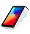 PAX A800 Terminal